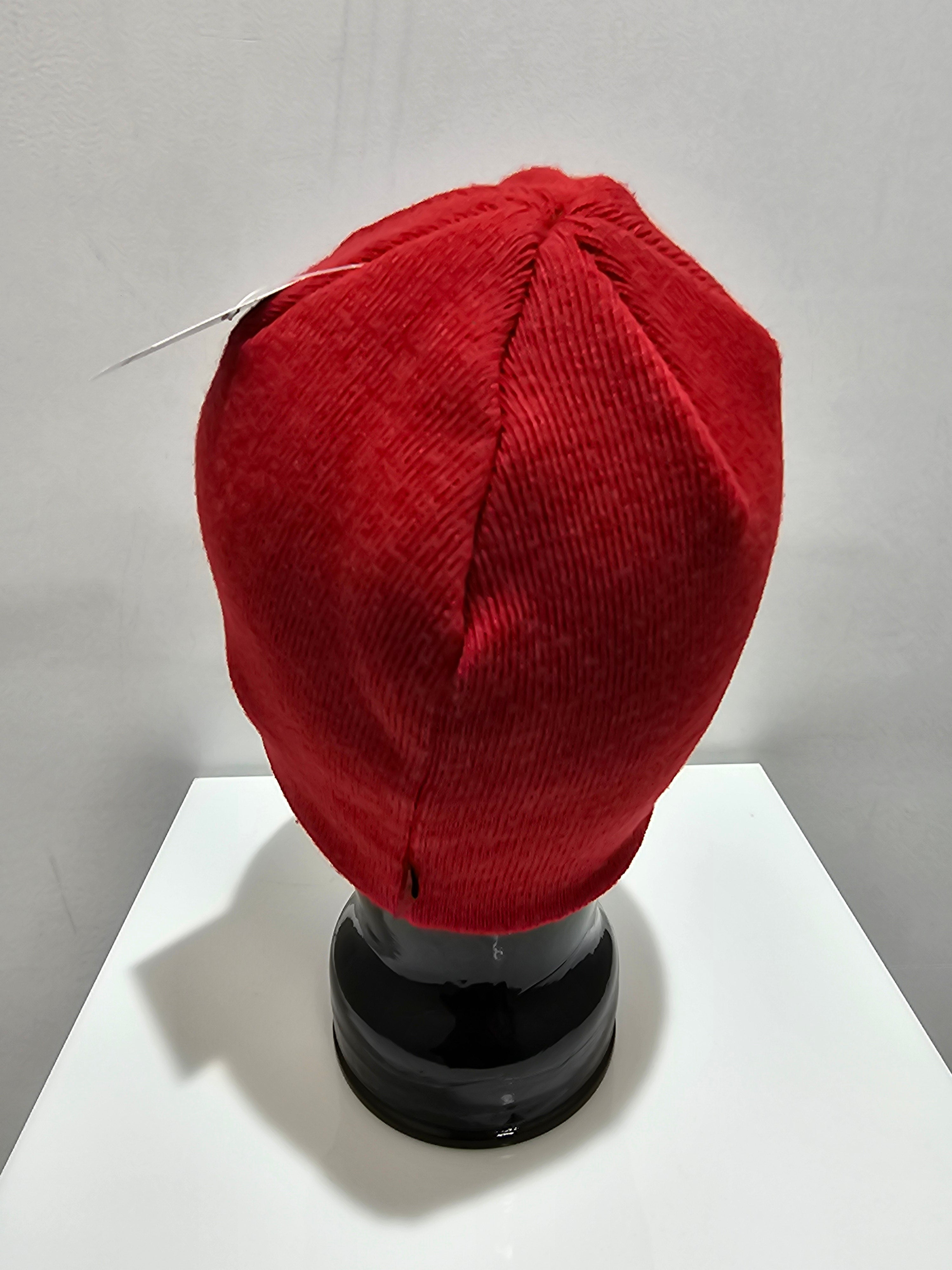 Oakley ellipse logo fine knit red beanie