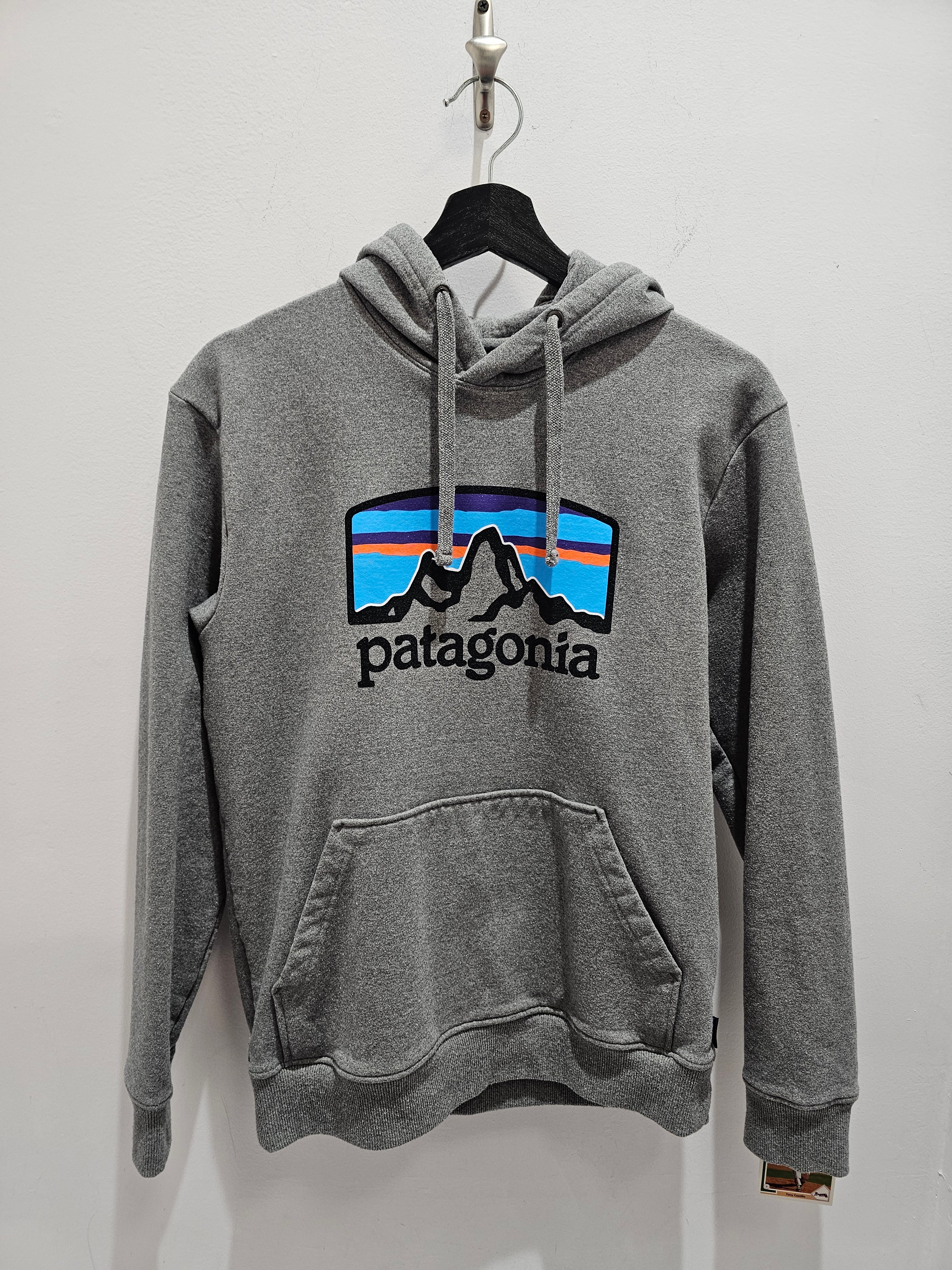 Patagonia fitz roy horizons uprisal grey hoodie